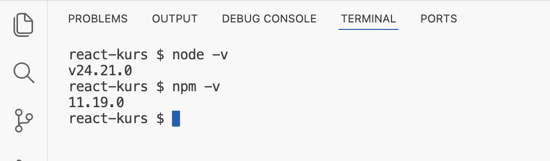 Терминал VS Code: node -v выводит v24.21.0, npm -v выводит 11.19.0