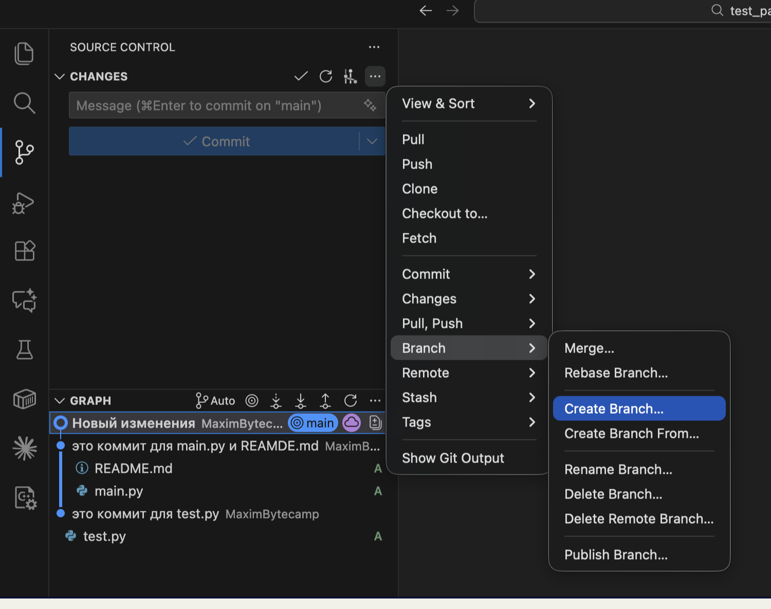 Открытое меню трёх точек в панели Source Control со списком команд Git