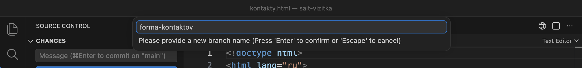 Поле ввода с именем forma-kontaktov и подсказкой Please provide a new branch name