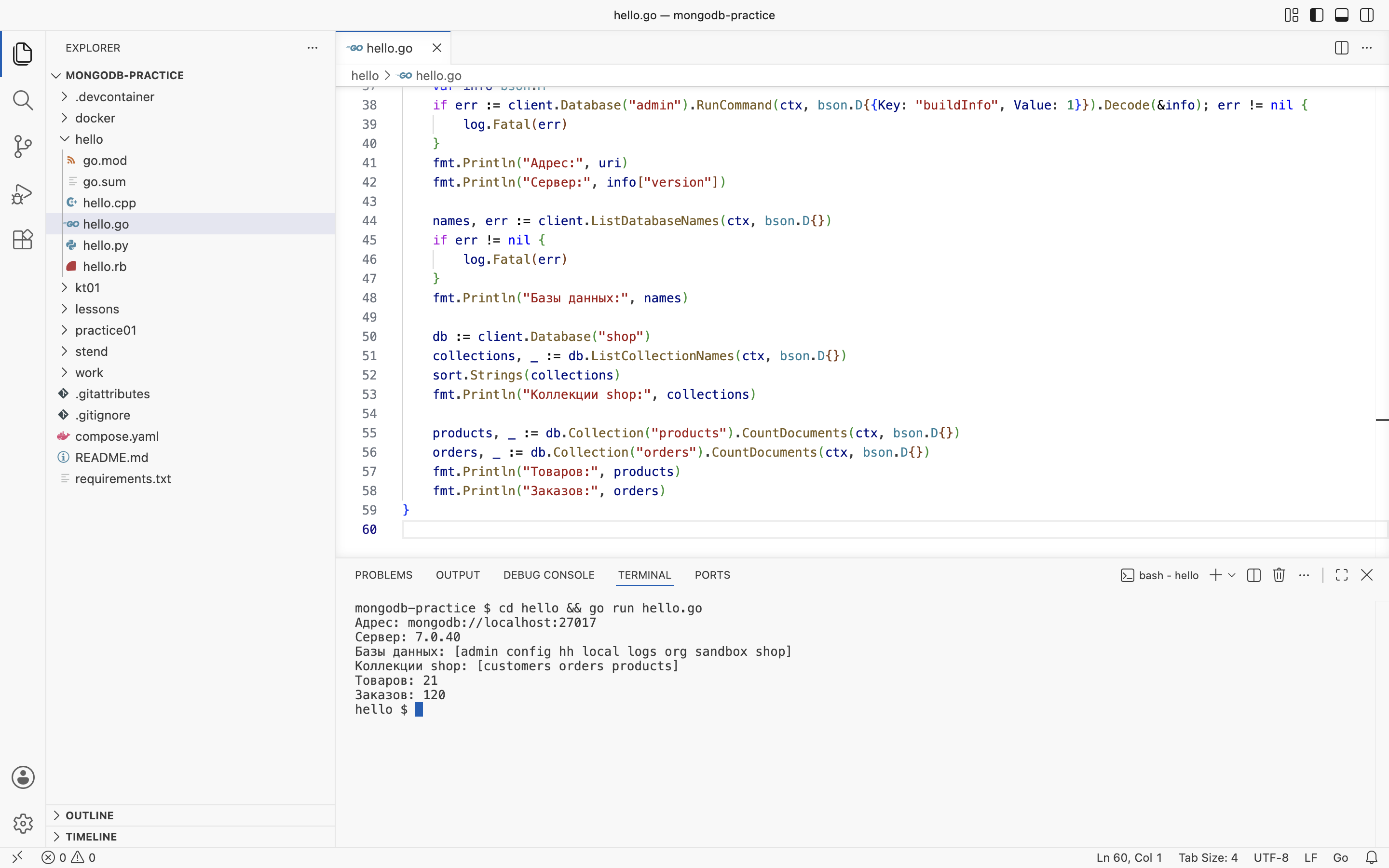 VS Code на macOS: <code>hello/hello.go</code> и его запуск в терминале
