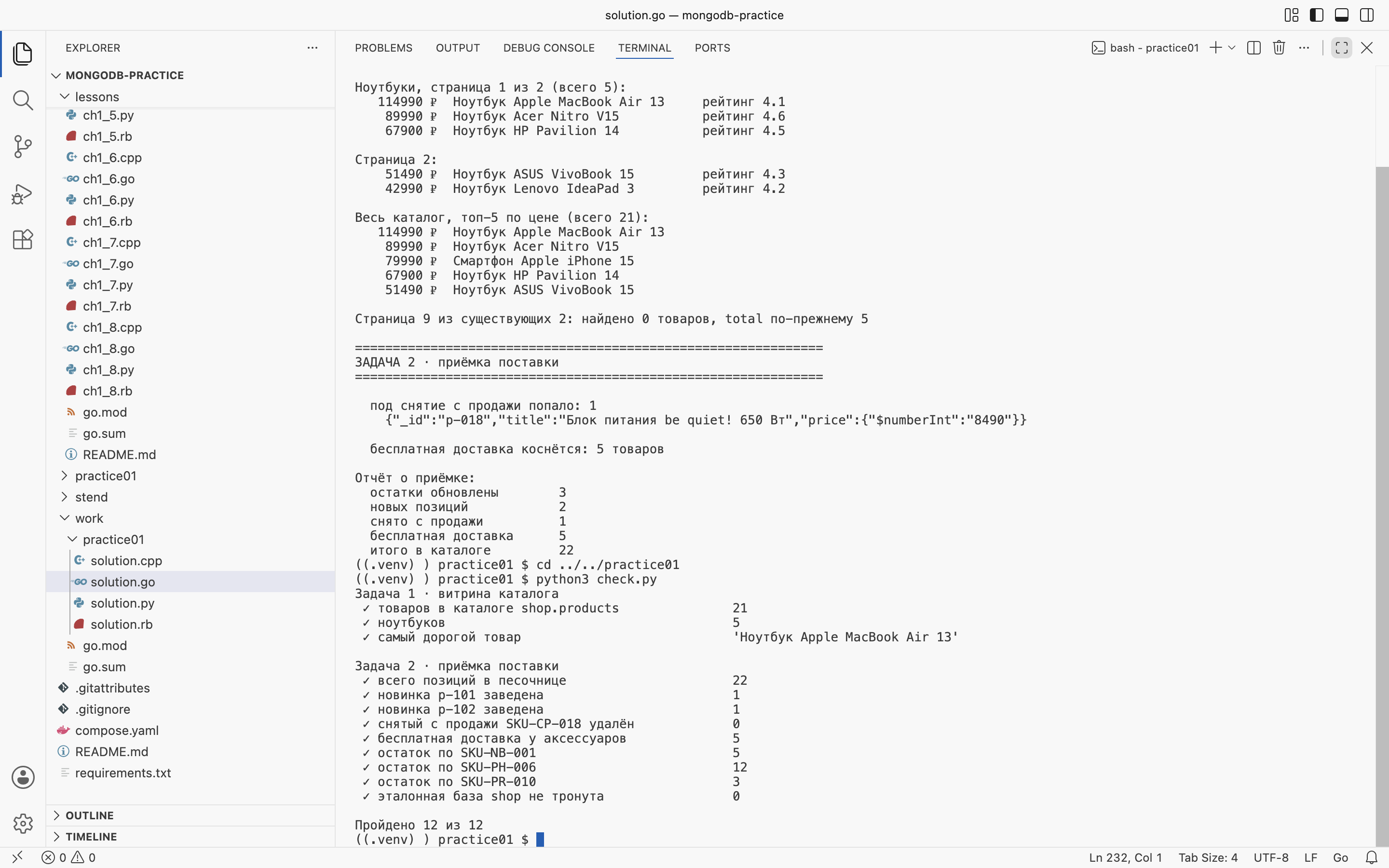 VS Code на macOS: <code>work/practice01/solution.go</code>, запуск и <code>check.py</code> — «Пройдено 12 из 12»